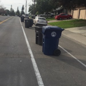 bike-lane-trash-cans