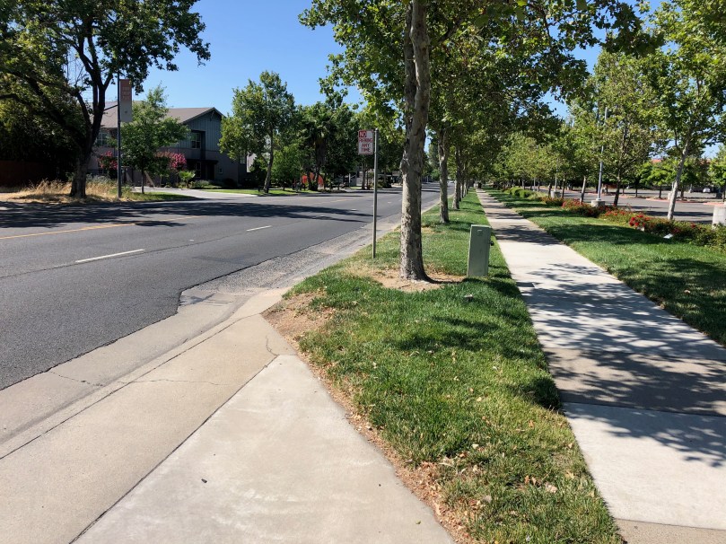 photo of sidewalk buffer with trees, Stockton Blvd