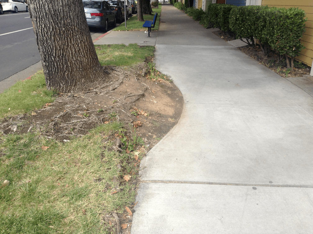 photo of sidewalk repaired due to damage by a city owned tree in a city owner sidewalk buffer, P St