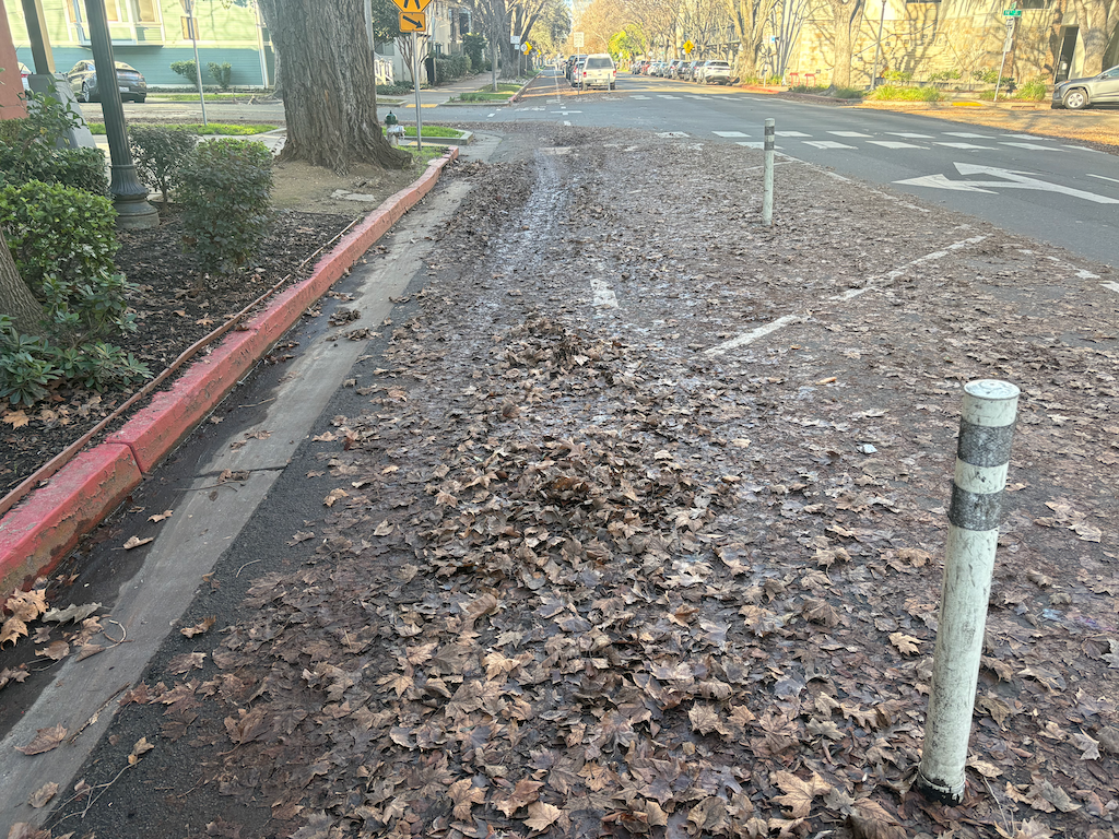 photo of SacCity P St separated bikeway; yes there is a bikeway under the leaf piles and leaf slime