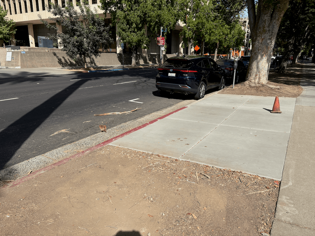 photo of SacRT bus stop pad, no sign or amenities, Q St at 7th St